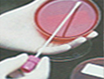 QX3003    SS平皿(9cm)